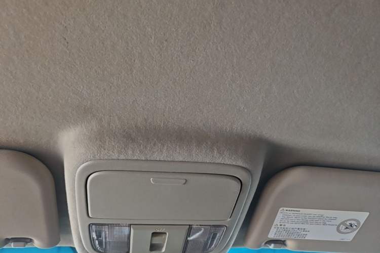 Used JMC Yuhu EV 2022 4x2 LX JX5032XXYPSE5BEV Headliner