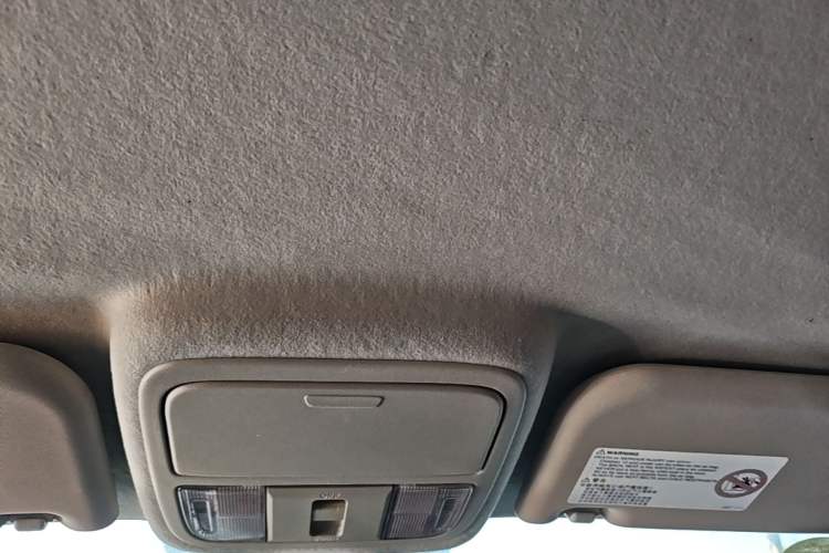 Used JMC Yuhu EV 2022 4x2 LX JX5032XXYPSE5BEV Headliner