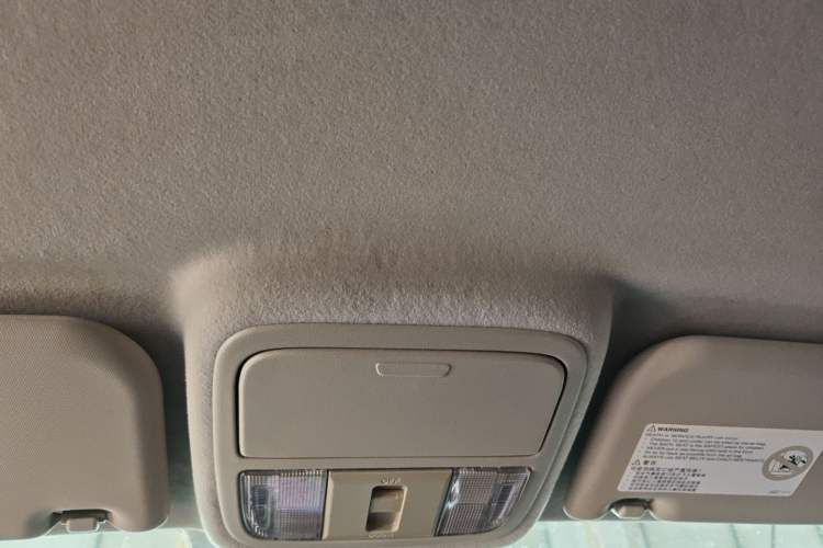 Used JMC Yuhu EV 2022 4x2 LX JX5032XXYPSE5BEV Headliner