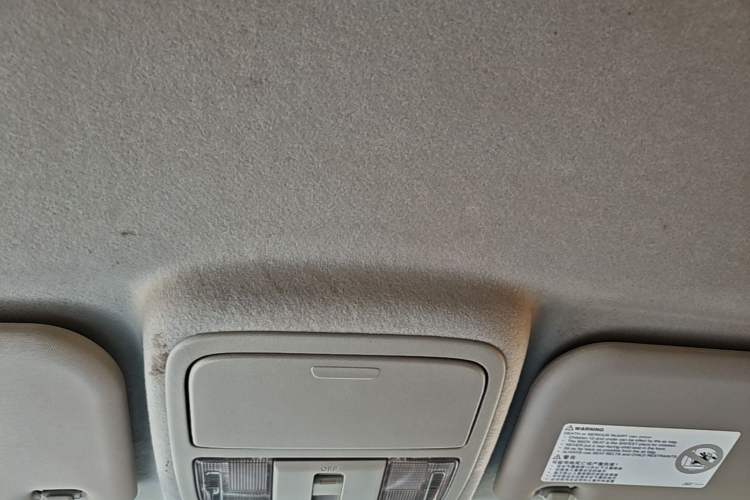 Used JMC Yuhu EV 2022 4x2 LX JX5032XXYPSE5BEV Headliner