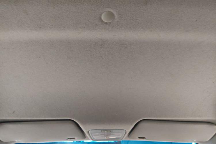 Used JMEV E200L 2018 E200L Standard Model (250 km) Headliner