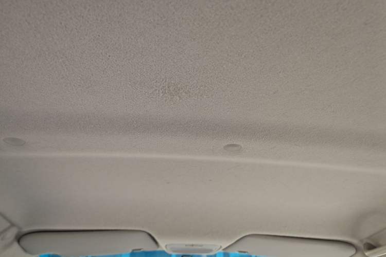 Used JMEV E200L 2016 E200 Comfort Model Headliner
