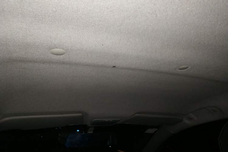 Used JMEV E200L 2016 E200 Standard Model Headliner