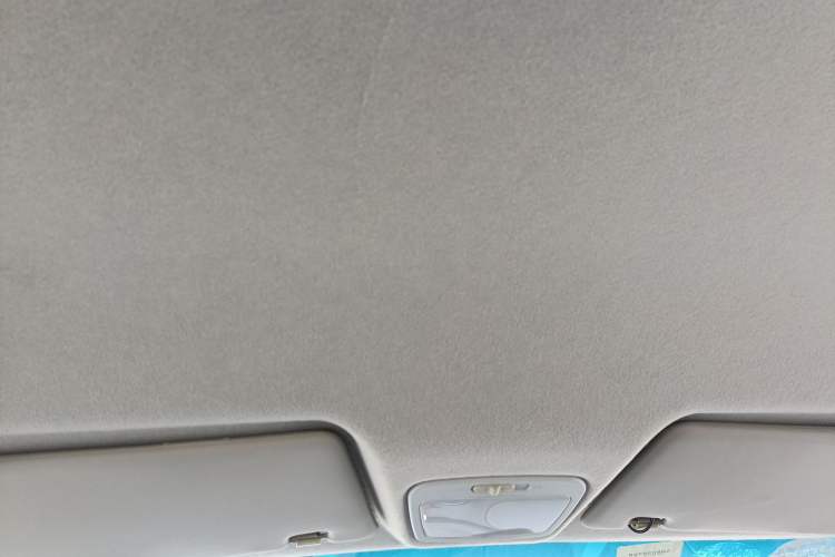 Used JMEV E200L 2017 E200P Comfort Edition Headliner