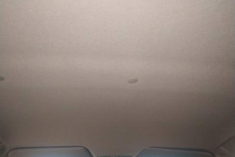 Used JMEV E200L 2018 E200L Standard Model (250 km) Headliner