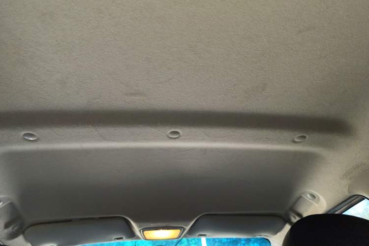 Used JMEV E200L 2018 E200L Standard Model (250 km) Headliner