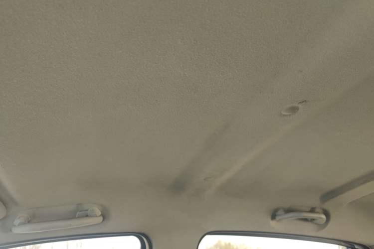 Used JMEV E200L 2018 E200L Standard Model (250 km) Headliner