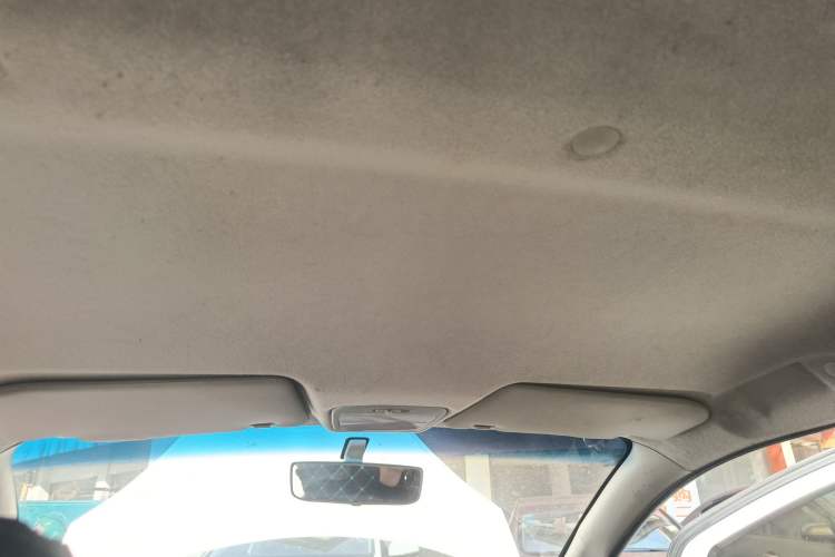 Used JMEV E200L 2020 E200L Comfort Model (302 KM) Headliner