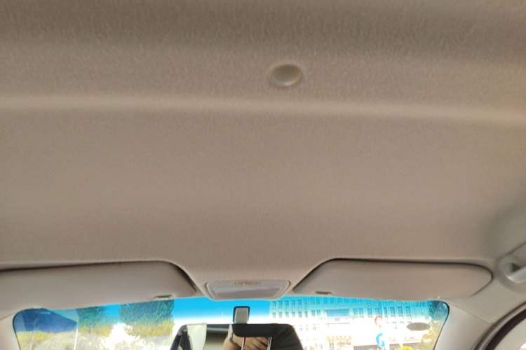 Used JMEV E200N 2018 E200N Luxury Model (250 km) Headliner