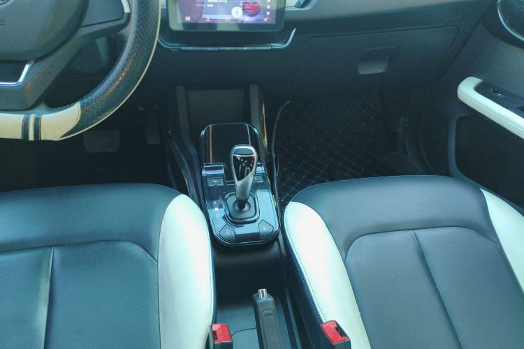 Used JMEV Ezi EV3 2019 Cool Run Edition Gear Lever