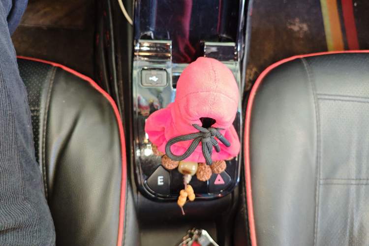 Used JMEV Ezi EV3 2022 Small Radar Yuebao Model Gear Lever