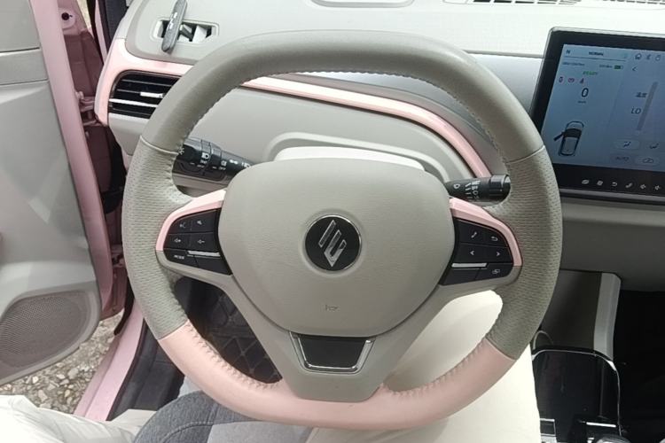 Used JMEV Ezi EV3 2023 Youth Edition 320KM Luxury Model Steering Wheel
