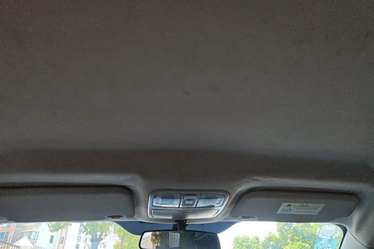 Used JMEV Ezi EX5 2018 Comfort Edition Headliner