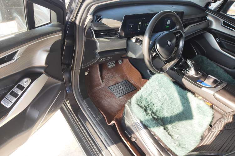 Used JMEV GSE 2021 500 km Shining Luxury Long-Range Version Driver Seat