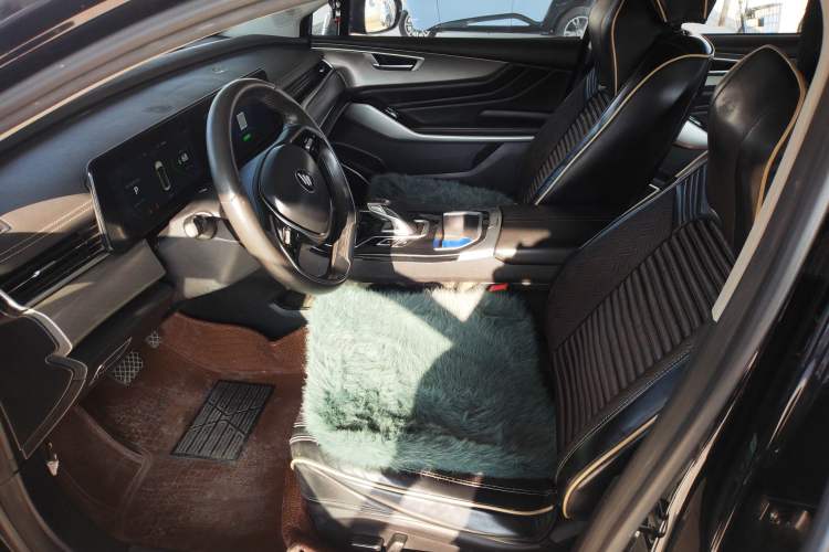 Used JMEV GSE 2021 500 km Shining Luxury Long-Range Version Left Front Seat