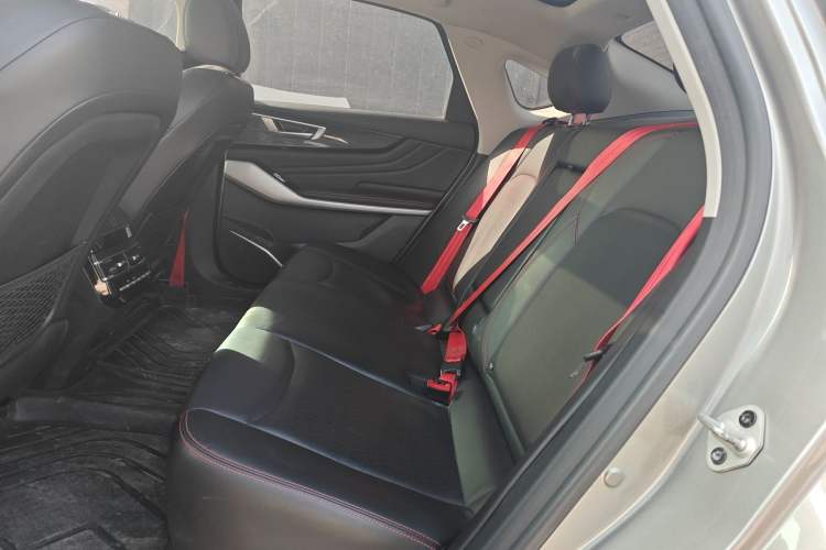 Used JMEV GSE 2021 450km Range Shining Luxury GT Edition Left Rear Seat