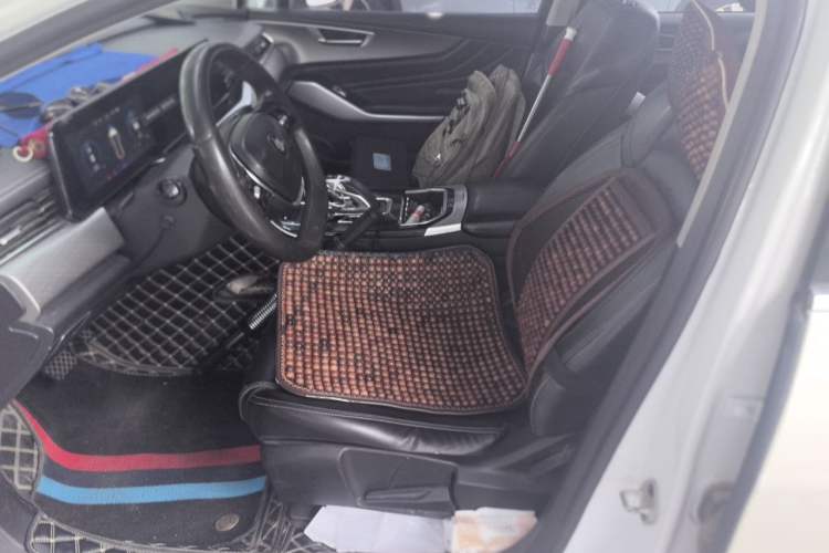 Used JMEV GSE 2021 500km Range Shining Youth—Long-Range Edition Left Front Seat