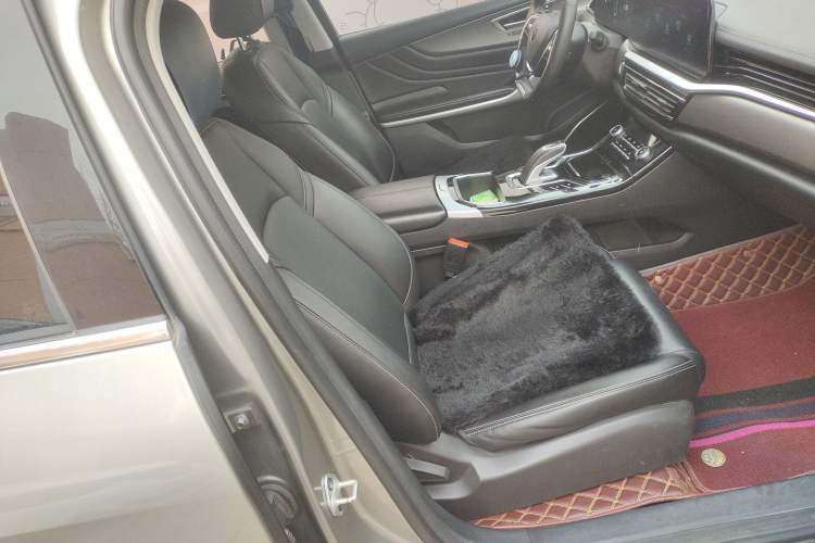 Used JMEV GSE 2022 Standard Range Elite Edition Right Front Seat