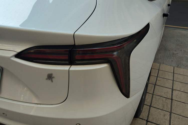 Used JMEV GSE 2022 Long-Range Elite Edition Exterior 6
