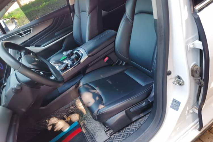 Used JMEV GSE 2022 Long-Range Smart Edition Left Front Seat