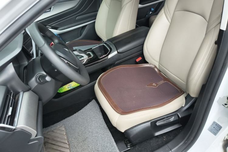 Used JMEV GSE 2022 Revised Version 2 Standard Range Elite Edition Left Front Seat