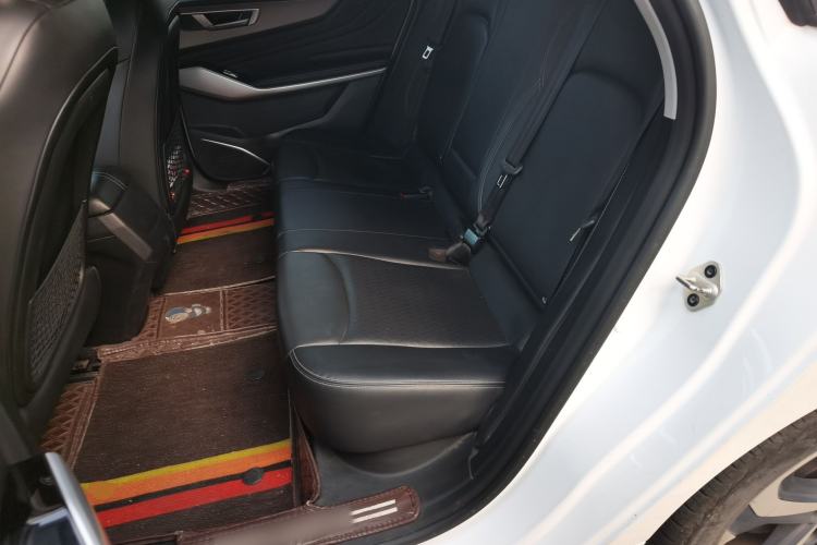 Used JMEV GSE 2022 Revised Version Long-Range Elite Edition Left Rear Seat
