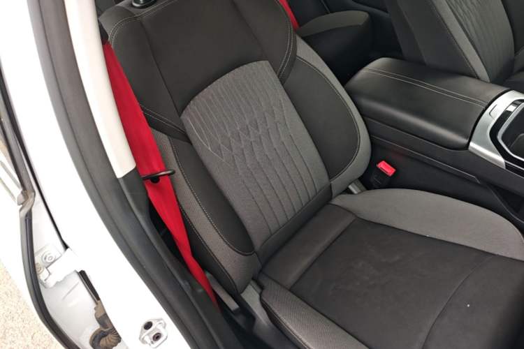 Used JMEV GSE 2022 Revised Version Standard Range Elite Edition Right Front Seat