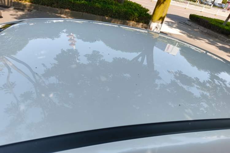 Used JMEV GSE 2022 Long-Range Smart Edition Roof