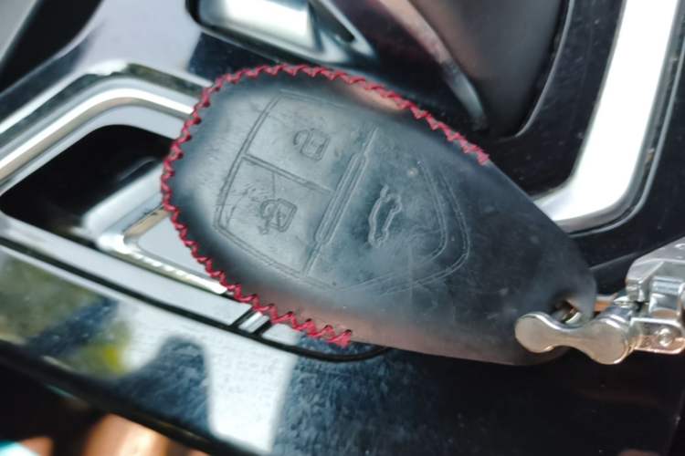 Used JMEV GSE 2022 Long-Range Smart Edition Vehicle Key