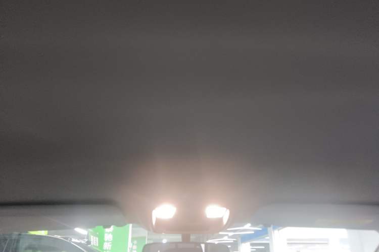 Used JMEV GSE 2023 Standard Range Industry Edition Headliner