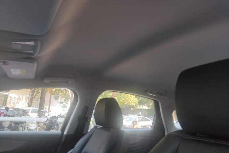 Used JMEV GSE 2023 Standard Range Industry Edition Headliner