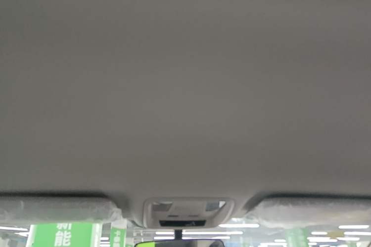 Used JMEV GSE 2023 Standard Range Industry Edition Headliner
