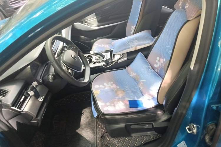 Used JMEV GSE 2023 Standard Range Industry Edition Left Front Seat