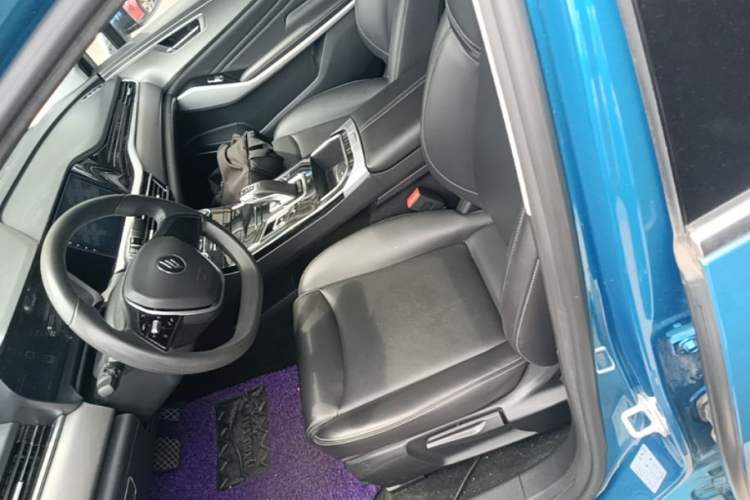 Used JMEV GSE 2023 Standard Range Industry Edition Left Front Seat