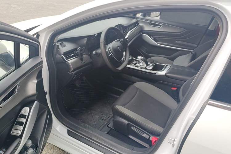 Used JMEV GSE 2023 Standard Range Industry Edition Driver Seat