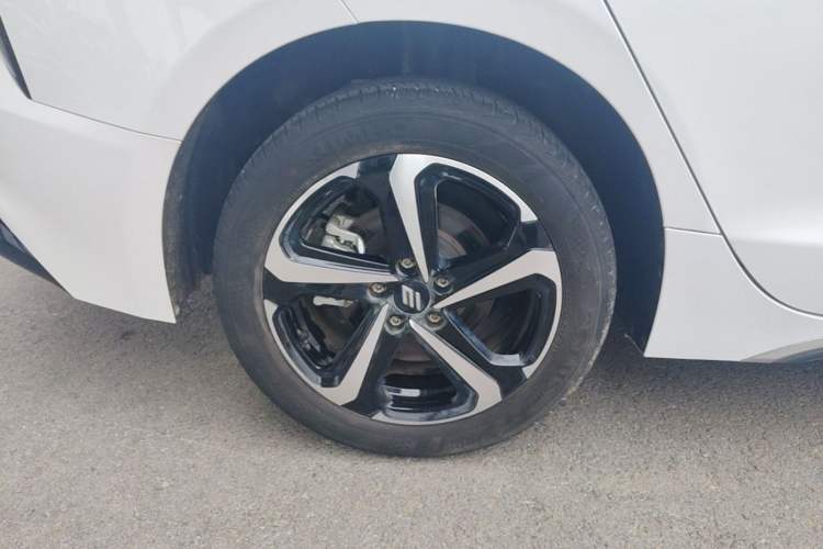 Used JMEV GSE 2023 Standard Range Industry Edition Exterior 5