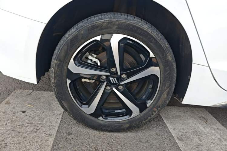 Used JMEV GSE 2023 Standard Range Industry Edition Exterior 5