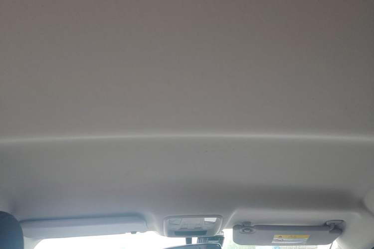 Used JMEV GSE 2023 Standard Range Industry Edition Headliner