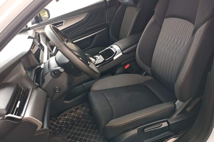 Used JMEV GSE 2023 Standard Range Industry Edition Left Front Seat