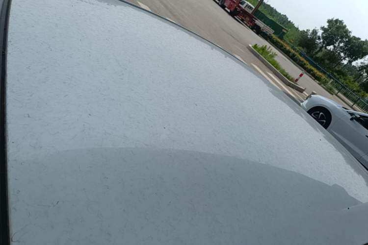 Used JMEV GSE 2023 Standard Range Industry Edition Roof
