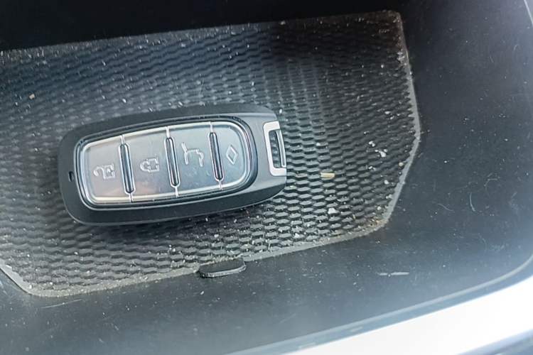 Used JMEV GSE 2023 Standard Range Industry Edition Vehicle Key