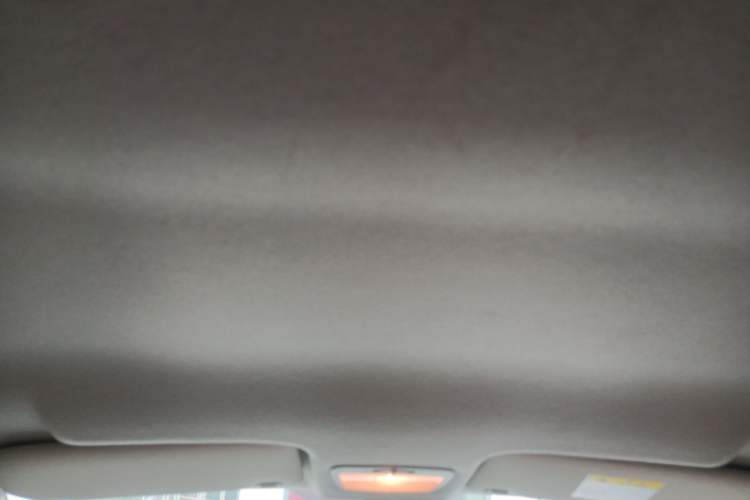 Used JMEV Xiao Qilin 2023 Joyful Edition 201km Comfort Model Headliner