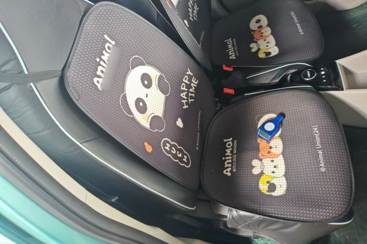 Used JMEV Xiao Qilin 2023 Joyful Edition 201km Comfort Model Right Front Seat