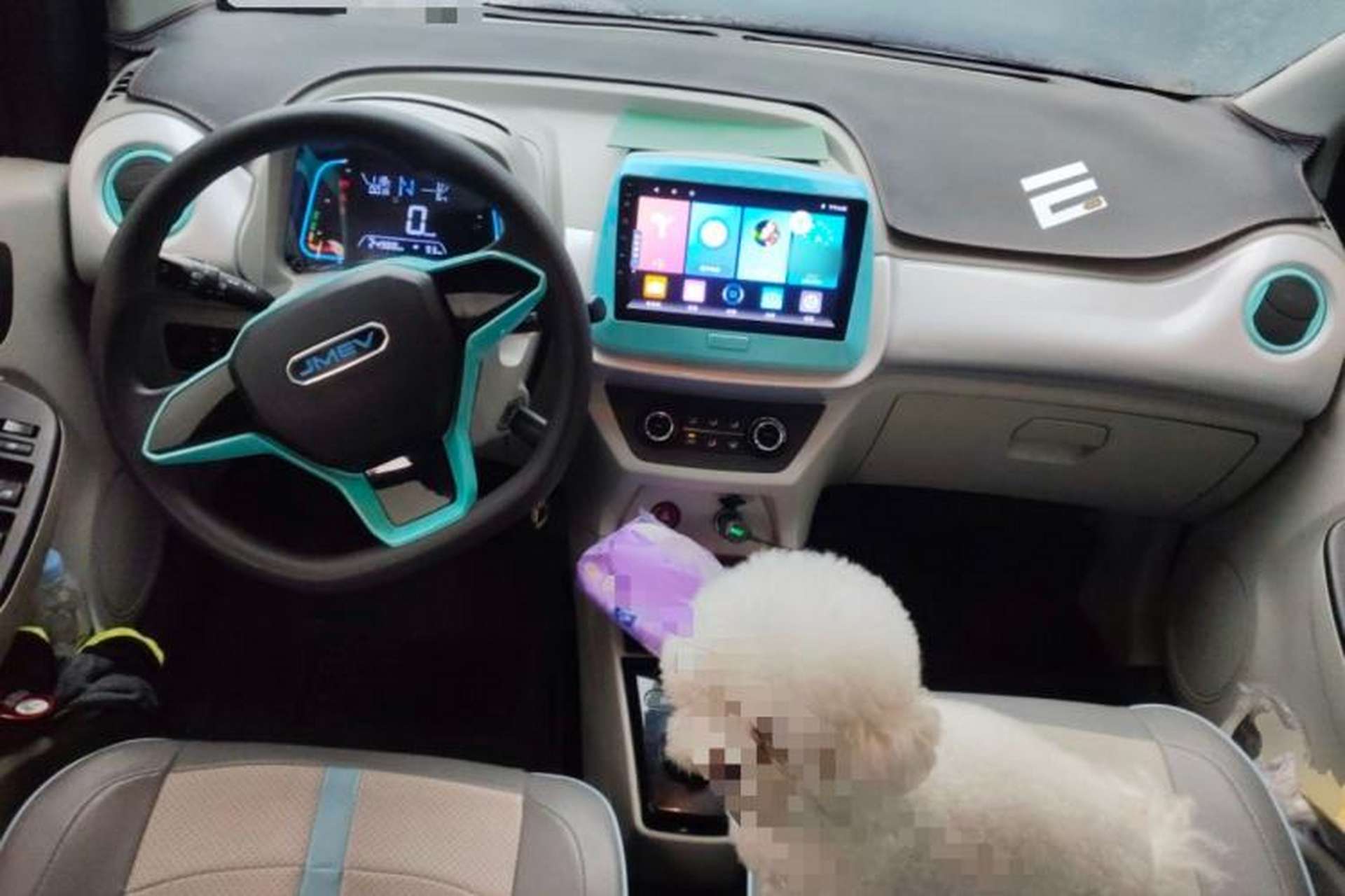 Used JMEV Xiao Qilin 2023 Joyful Edition 201km Comfort Model Center Console