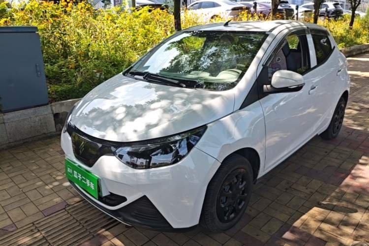 Used JMEV Xiao Qilin 2023 Joyful Edition 201km Luxury Model Guazi used car, China used car export, Used car for sale, Used  cars, Cheapest cars for sale