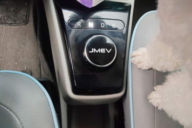 Used JMEV Xiao Qilin 2023 Joyful Edition 201km Comfort Model Gear Lever