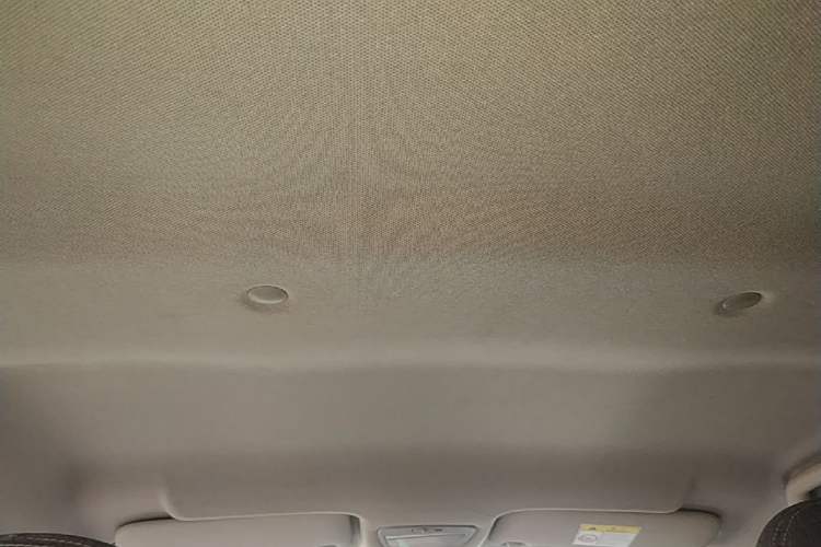 Used JMEV Xiao Qilin 2023 Joyful Edition 201km Comfort Model Headliner