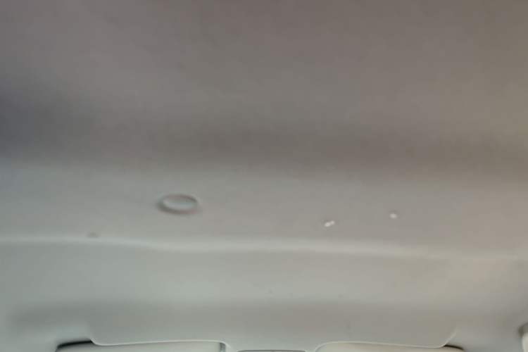 Used JMEV Xiao Qilin 2023 Joyful Edition 201km Comfort Model Headliner
