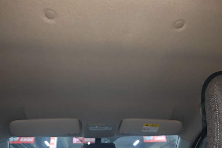 Used JMEV Xiao Qilin 2023 Joyful Edition 201km Comfort Model Headliner