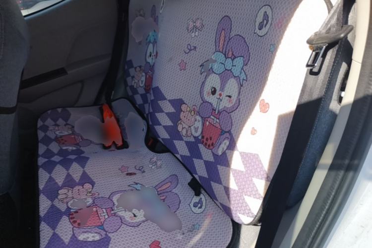 Used JMEV Xiao Qilin 2023 Joyful Edition 201km Luxury Model Left Rear Seat
